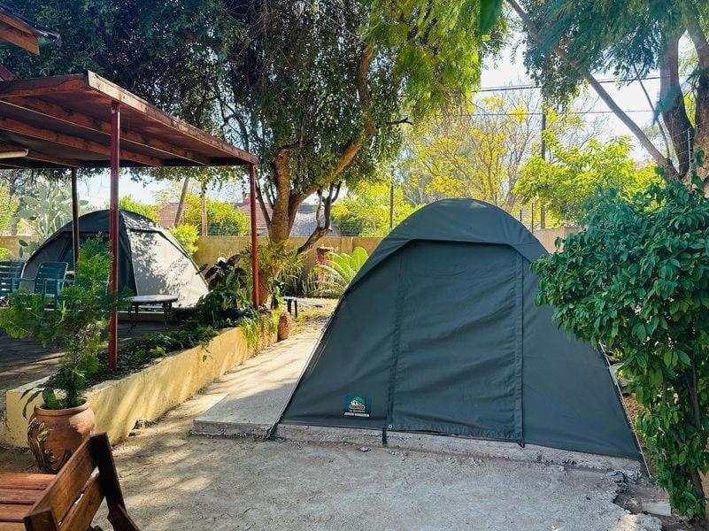 Birdville Bnb Guest House Gaborone Exteriör bild